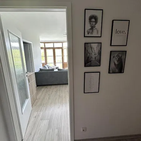 In Lisa, Sehr Ruhige Lage, Blick Ins Gruene, Hochwertig Renoviert, Wlan Und Parkplatz Gratis Apartment Gera