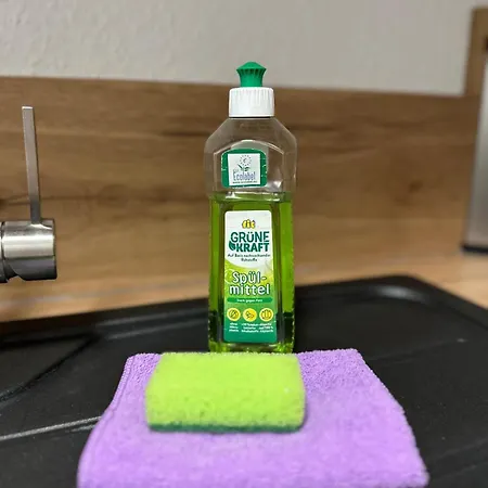 In Lisa, Sehr Ruhige Lage, Blick Ins Gruene, Hochwertig Renoviert, Wlan Und Parkplatz Gratis Apartment Gera